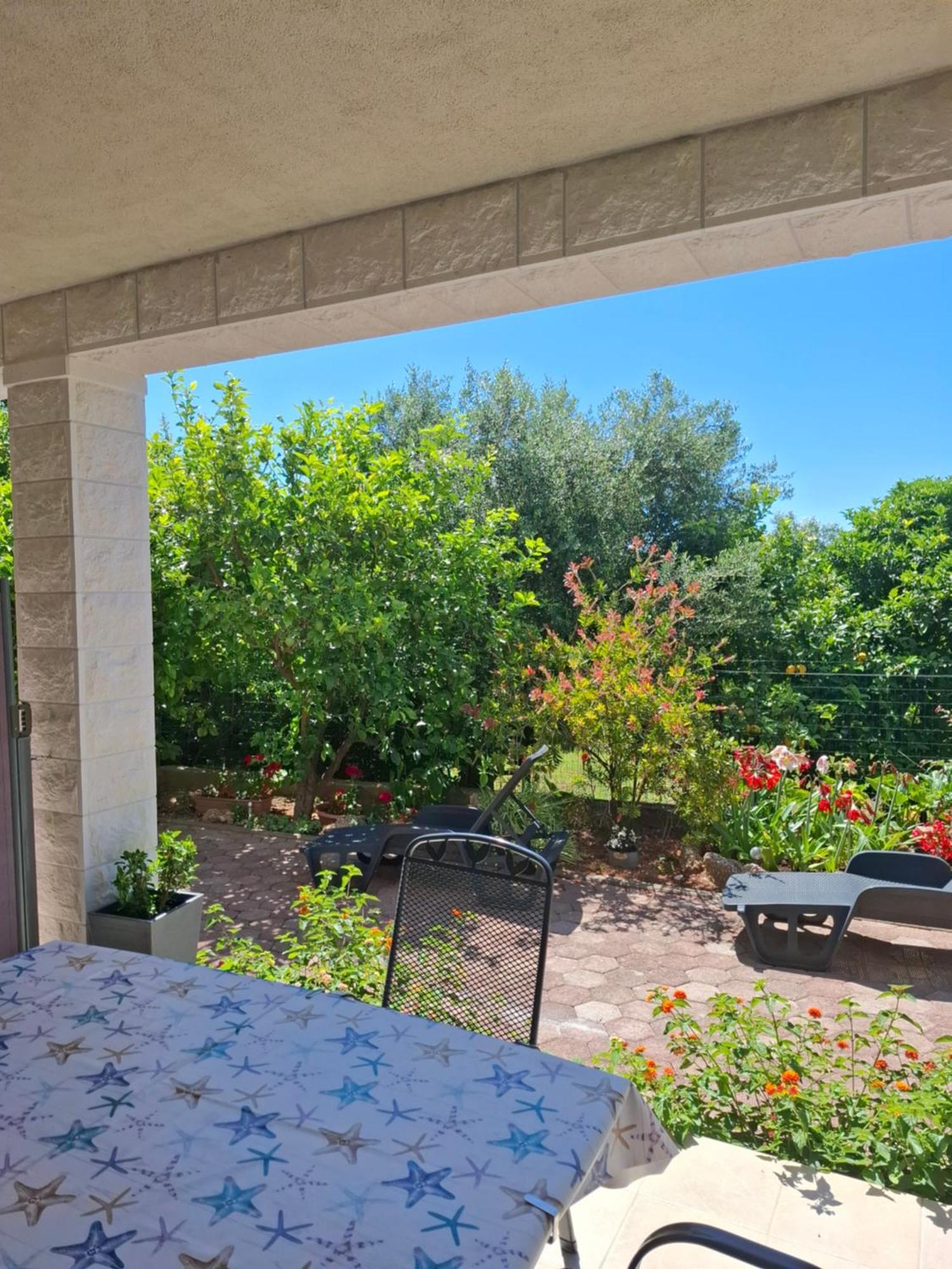Blanka Apartment Orebić Dış mekan fotoğraf